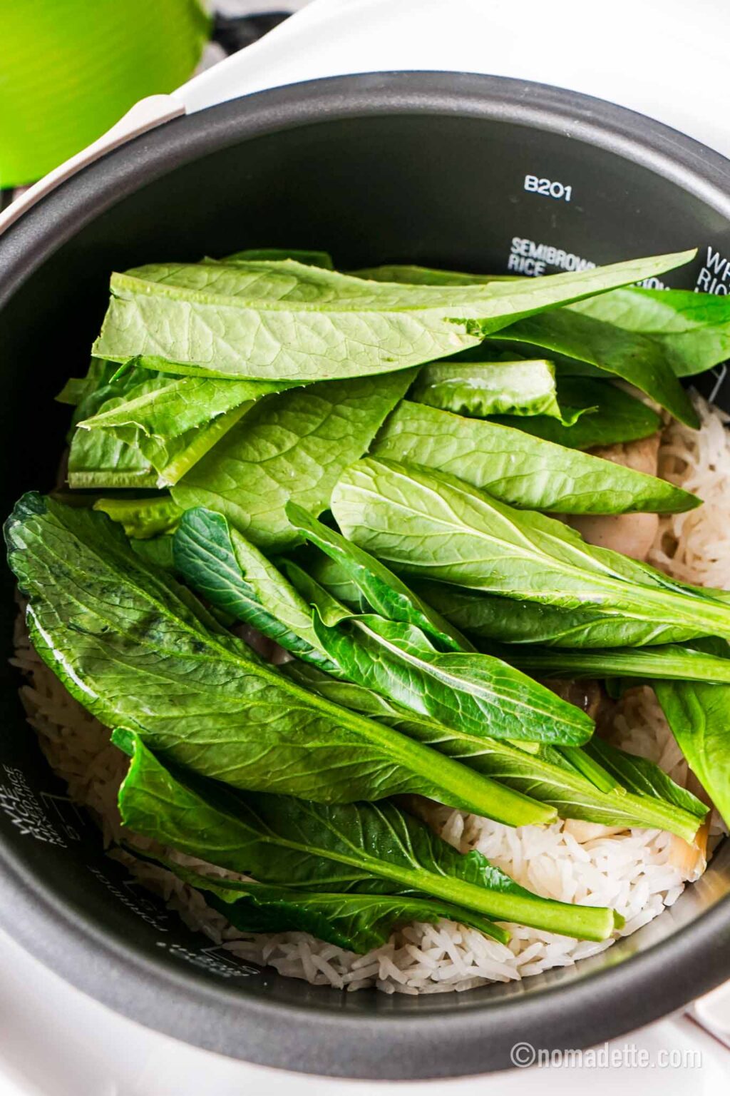 Rice Cooker Chicken Rice Nomadette