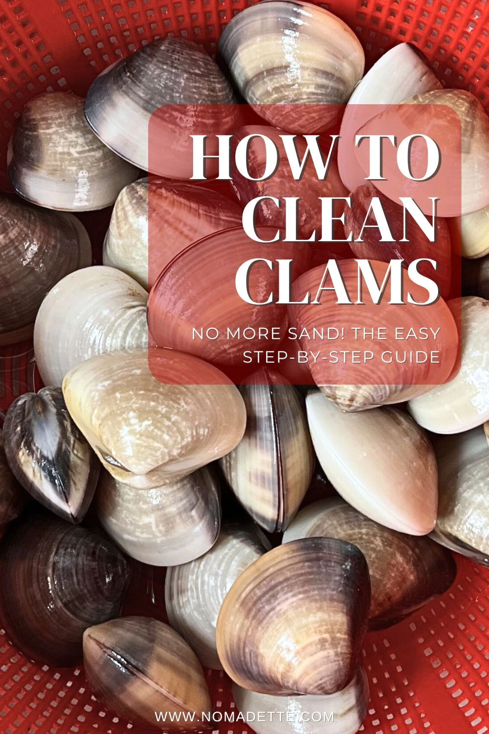 How to clean clams