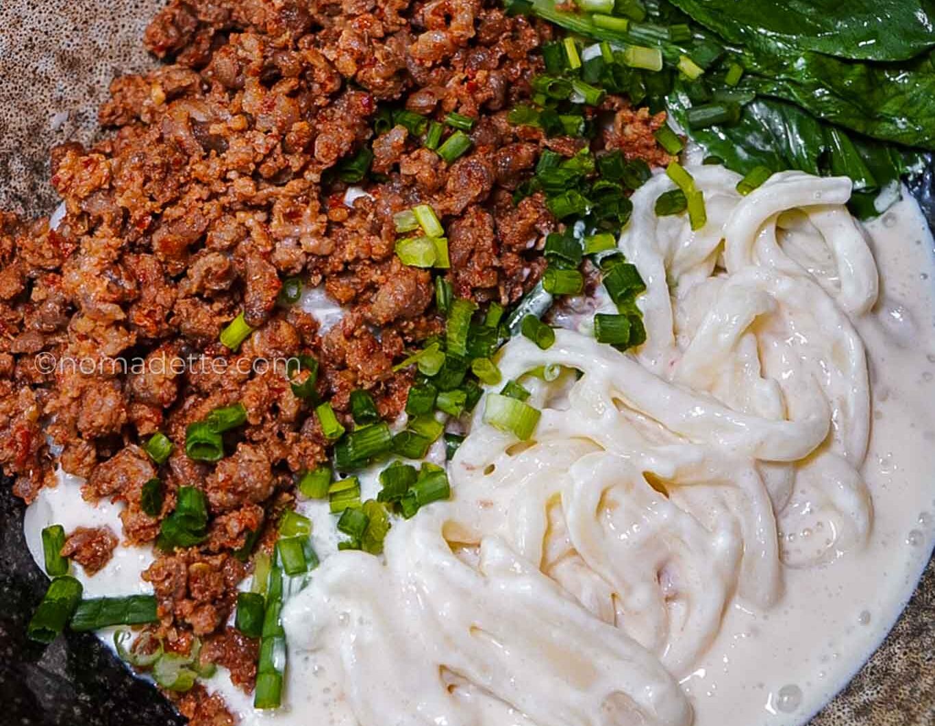 Creamy Tofu Udon with Mince Meat Toppings (4 Variations)
